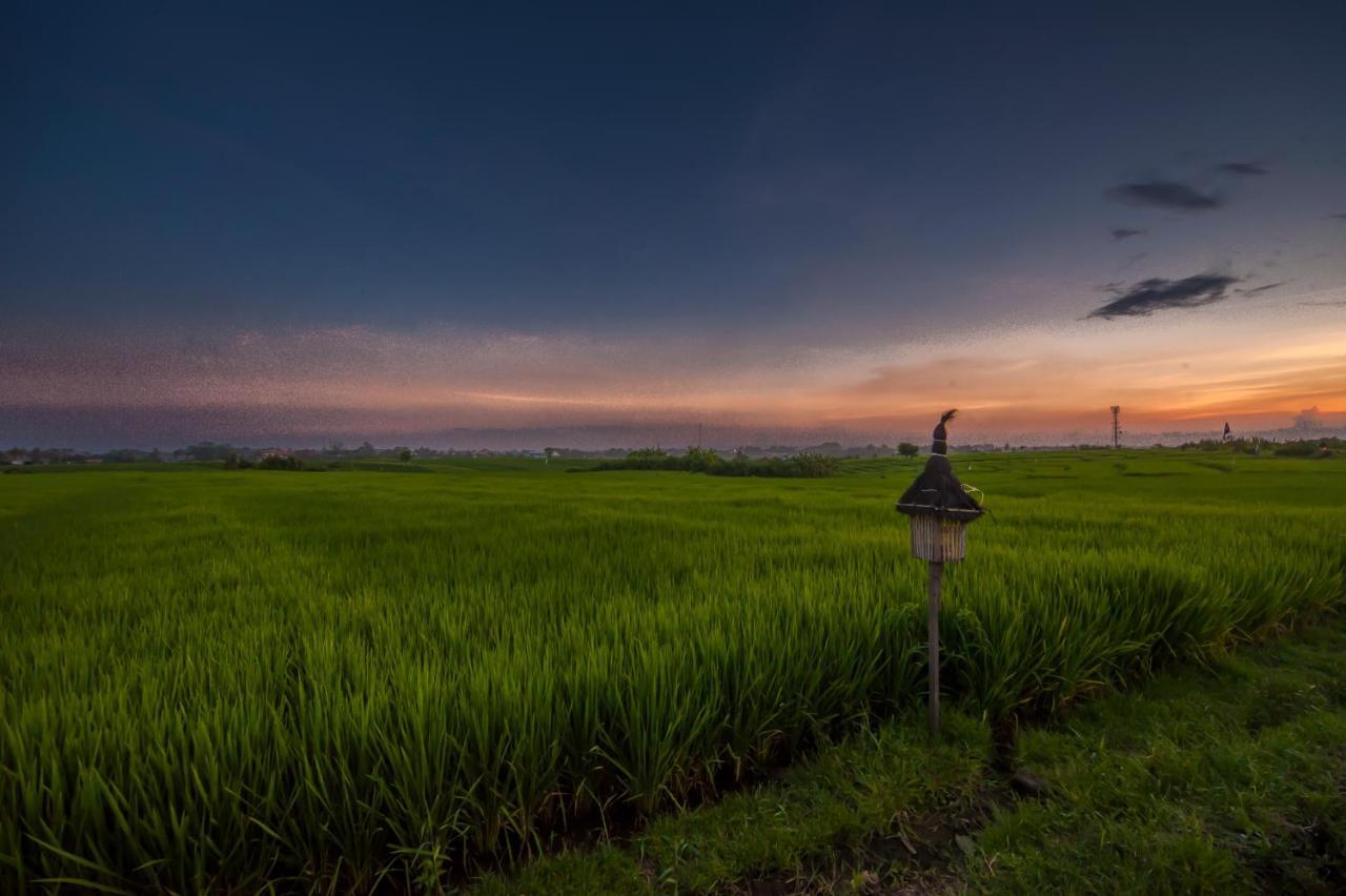 The Lebak